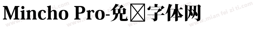 Mincho Pro字体转换